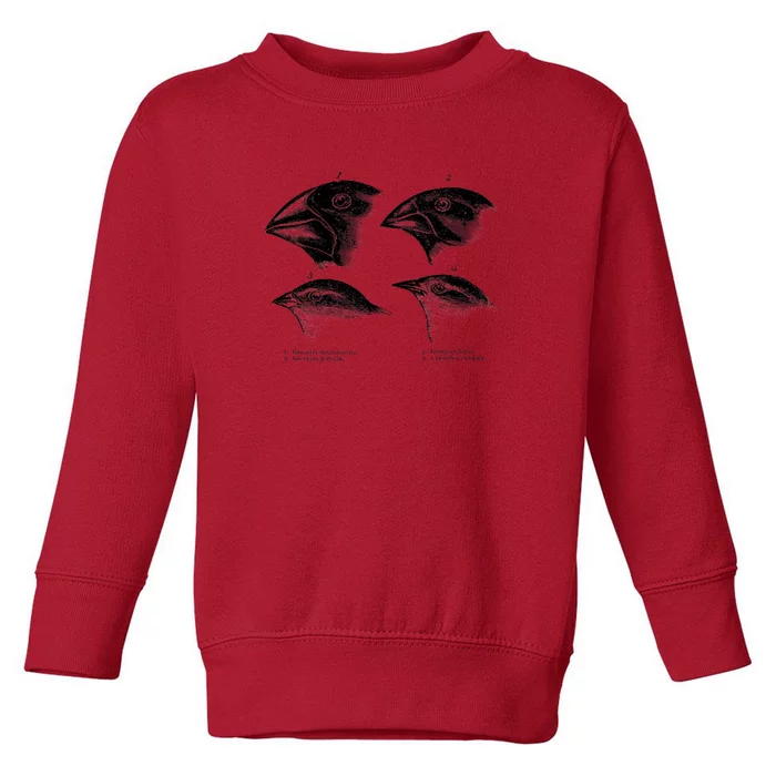 DarwinS Finches Illustration Evolution Atheist Toddler Sweatshirt