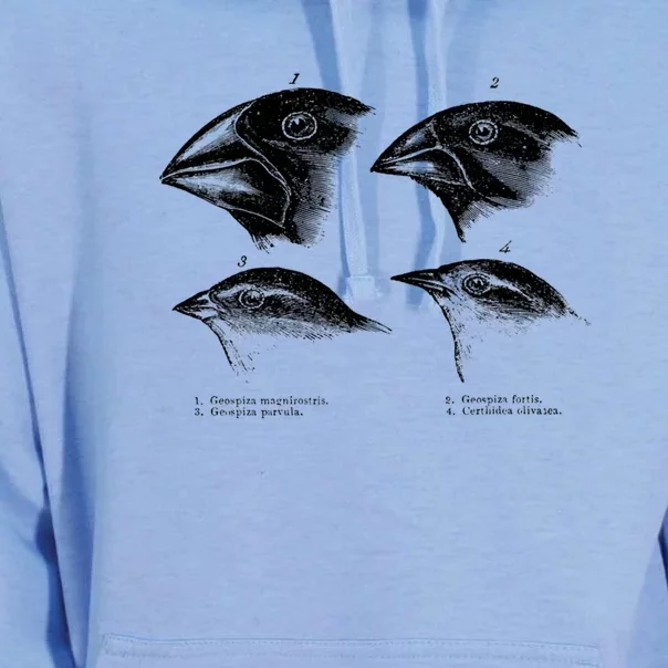 DarwinS Finches Illustration Evolution Atheist Unisex Surf Hoodie