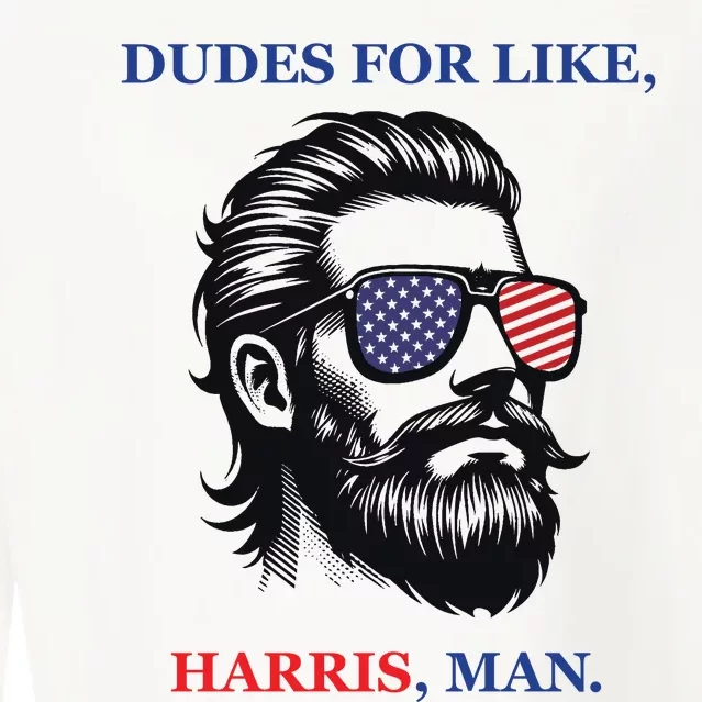 Dudes For Like Harris Man Funny Kamala Harris 2024 Cropped Pullover Crew