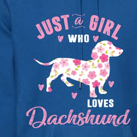 Dachshund Gift Dachshund Lover Gift Premium Hoodie