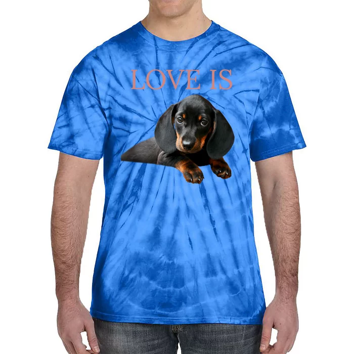 Dachshund Gift Dog Mom Dad Men Women Kids Gift Doxie Gift Tie-Dye T-Shirt