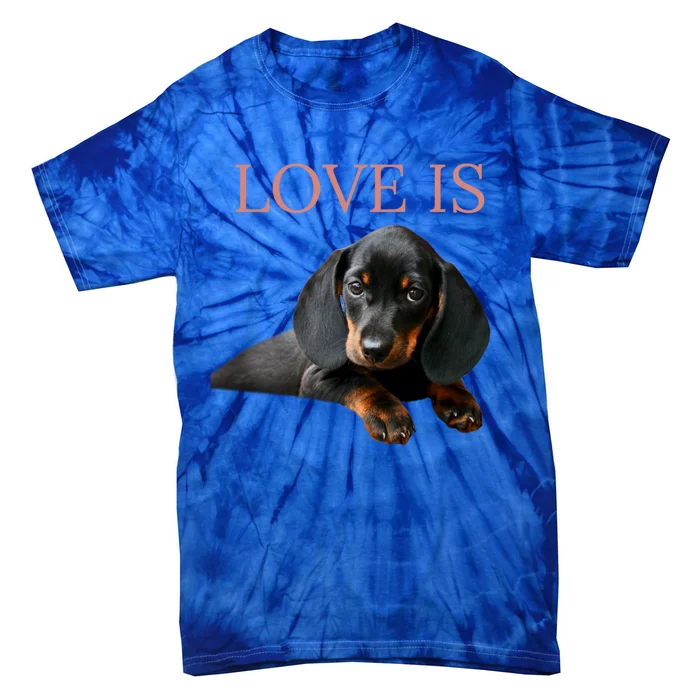 Dachshund Gift Dog Mom Dad Men Women Kids Gift Doxie Gift Tie-Dye T-Shirt