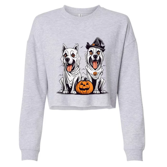 Dog Ghost Funny Halloween Mummy Dog Lover Matching Family Cropped Pullover Crew