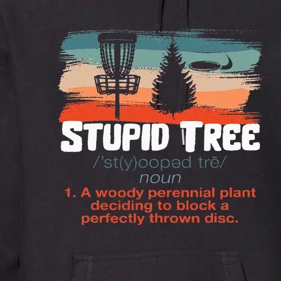 Disc Golf Frisbee Player Disc Golfer Funny Definition Retro Premium Hoodie