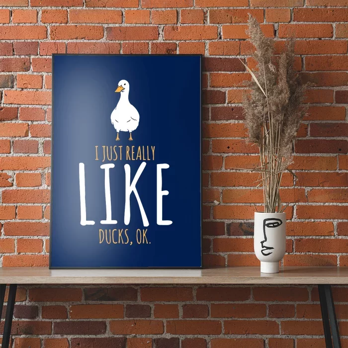 Duck Gifts I Just Really Like Ducks, Ok Poster