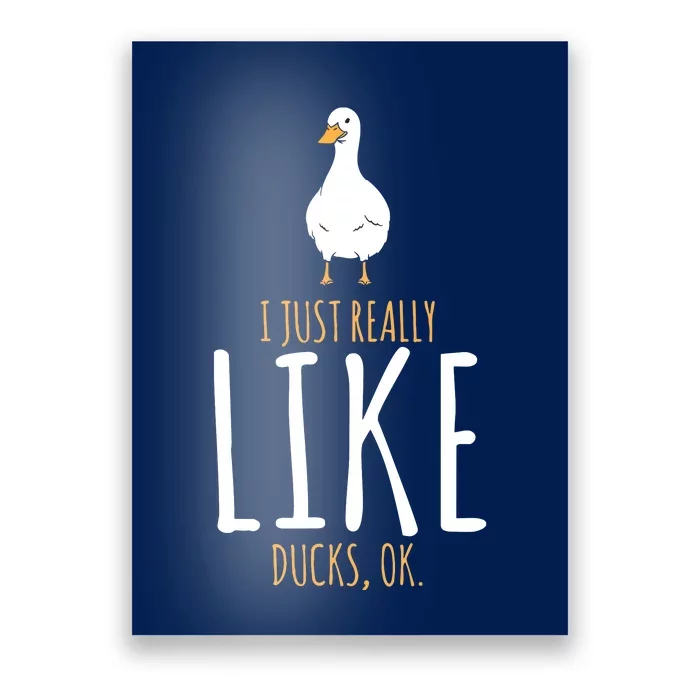 Duck Gifts I Just Really Like Ducks, Ok Poster