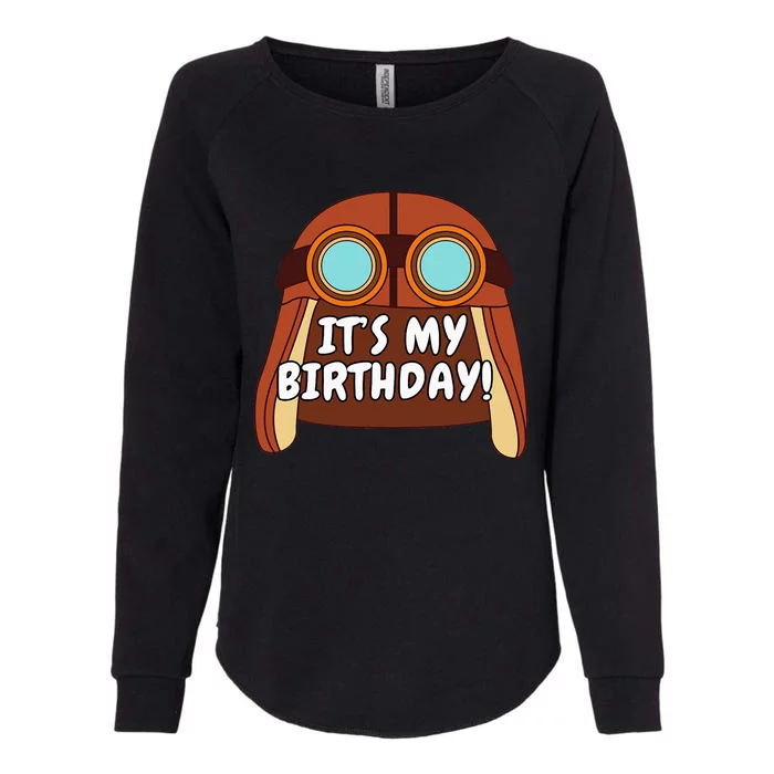 Danny Go! ItS My Birthday! Womens California Wash Sweatshirt