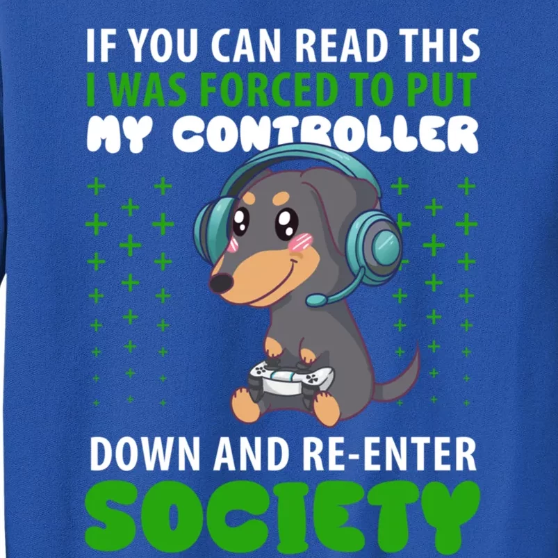 Dachshund Gamer Video Game Gaming Gift Tall Sweatshirt