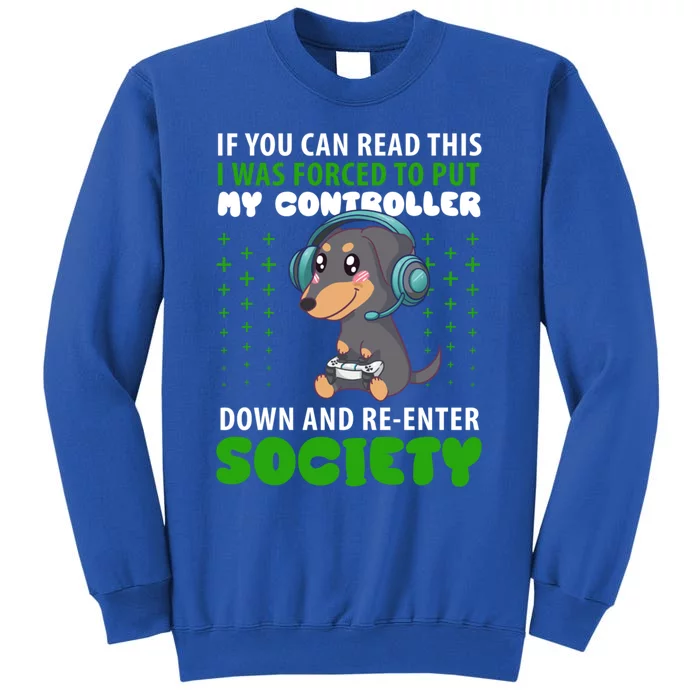 Dachshund Gamer Video Game Gaming Gift Tall Sweatshirt