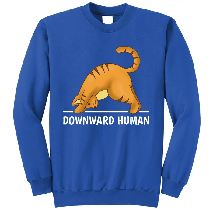 Downward Hu Cat Gift Tall Sweatshirt