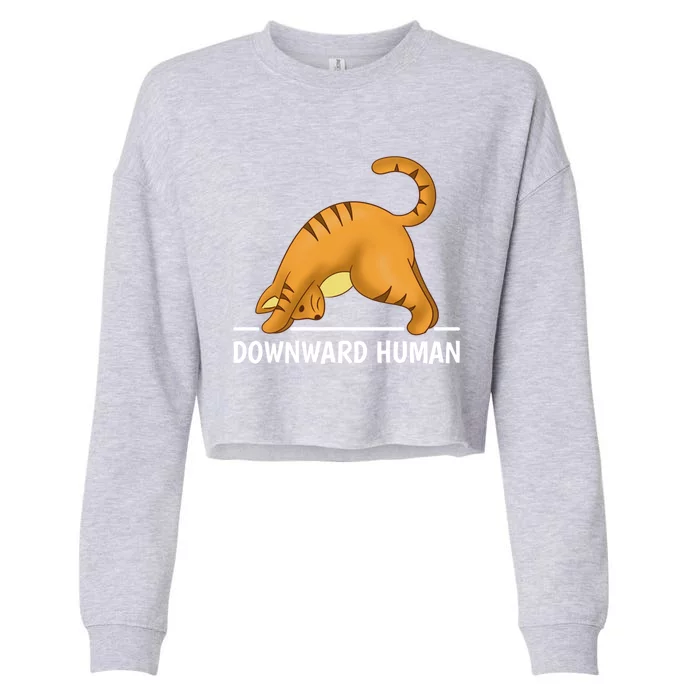 Downward Hu Cat Gift Cropped Pullover Crew