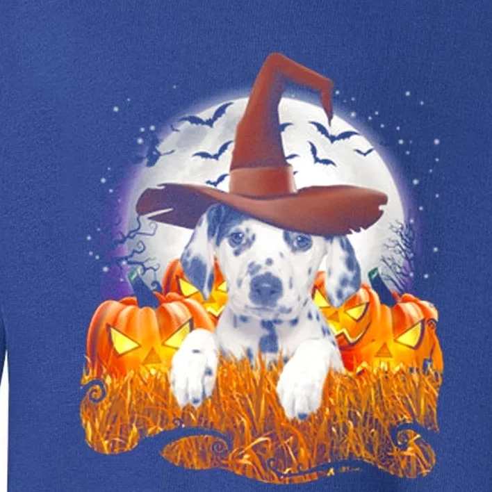 Dalmatian Halloween Cute Dog Witch On Halloween Pumpkin Gift Toddler Sweatshirt