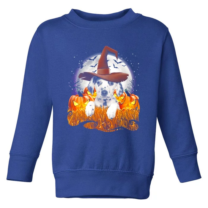 Dalmatian Halloween Cute Dog Witch On Halloween Pumpkin Gift Toddler Sweatshirt