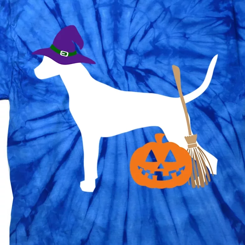 Dalmatian Halloween Dog Wearing Witch Hat Gift Tie-Dye T-Shirt