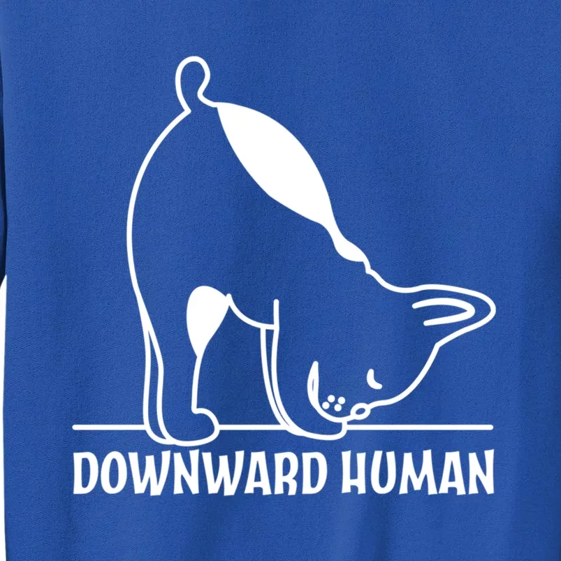 Downward Hu Funny Yoga Dog Lover Gift Tall Sweatshirt