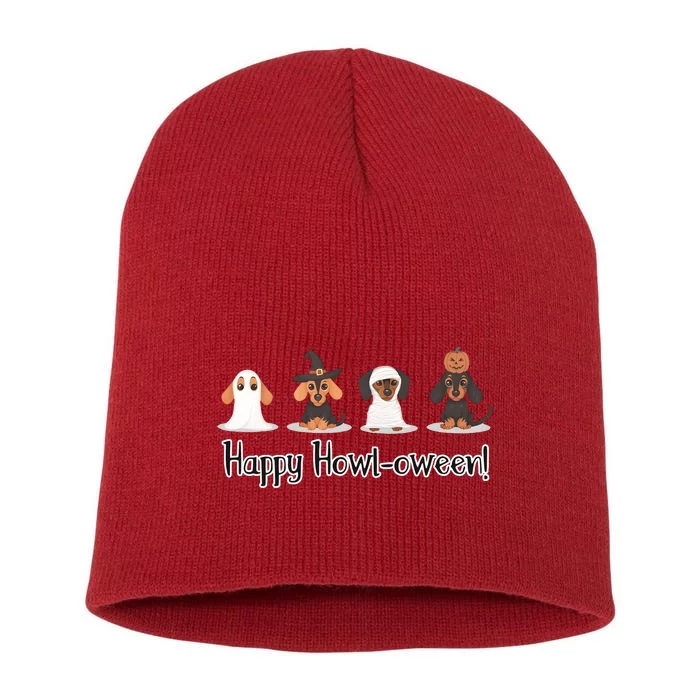 Dachshund Halloween Funny Witch Dog Lover Halloween Spooky Season Short Acrylic Beanie