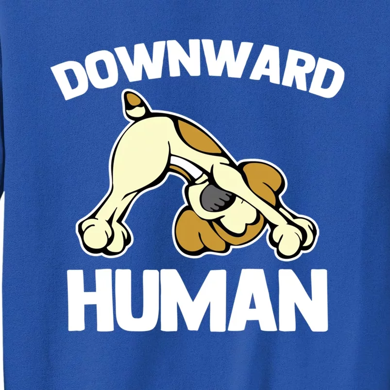 Downward Hu Gift Funny Yoga Dog Sarcastic Saying Cute Yoga Gift Tall Sweatshirt