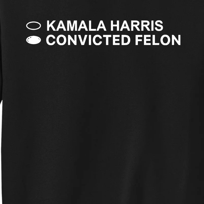 David Harris Jr Wearing Kamala Harris Convicted Felon Sweatshirt