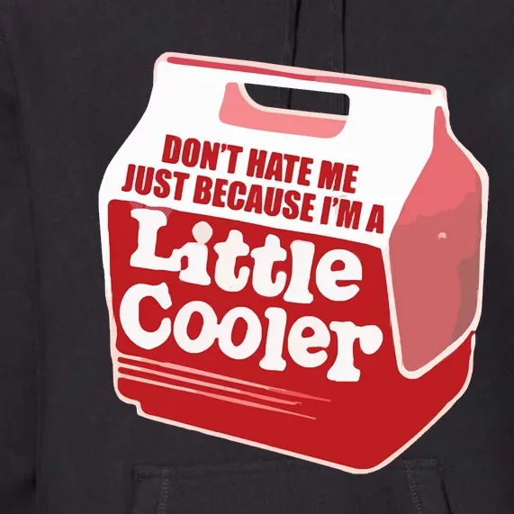 Don&39;T Hate Me Just Because I&39;M A Little Cooler Premium Hoodie