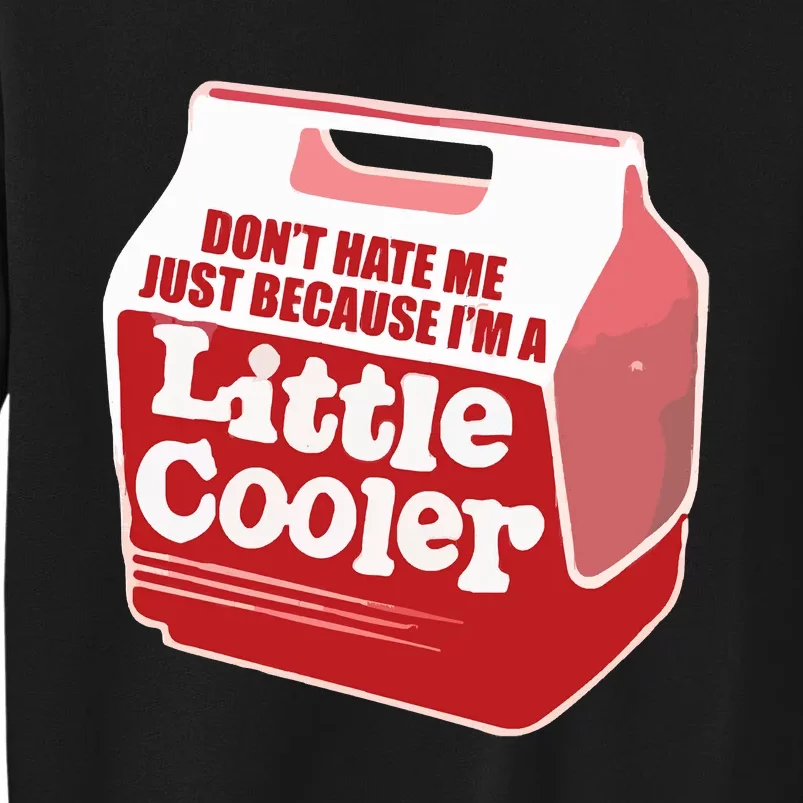 Don&39;T Hate Me Just Because I&39;M A Little Cooler Tall Sweatshirt