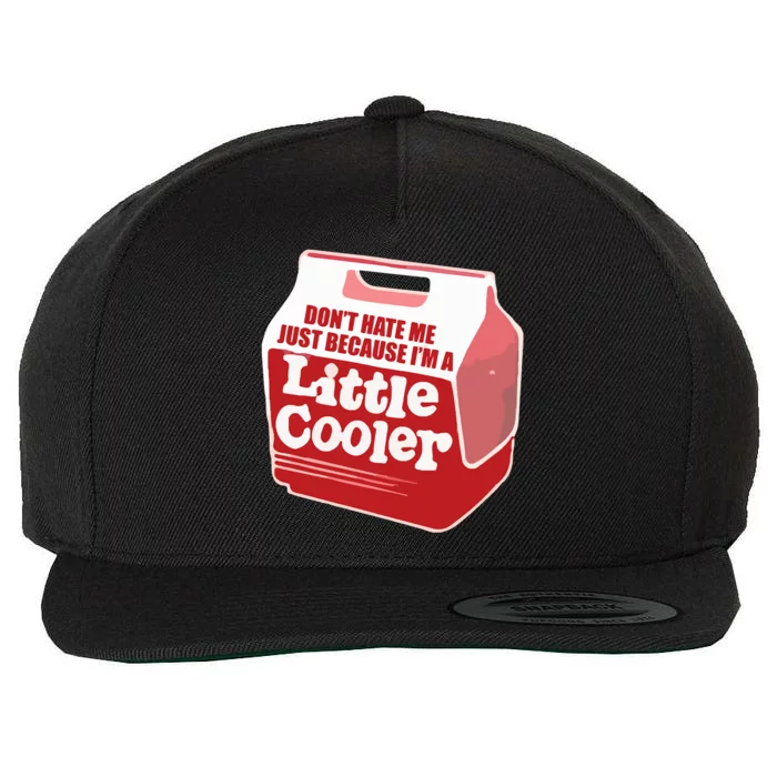 Don&39;T Hate Me Just Because I&39;M A Little Cooler Wool Snapback Cap