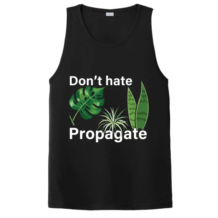 Dont Hate Propagate Monstera Sansevieria Dracaena Houseplant Performance Tank