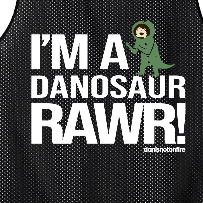 Danisnotonfire IM A Dinosaur Rawr Mesh Reversible Basketball Jersey Tank