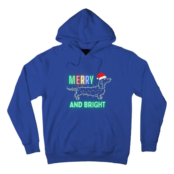 Dachshund In Christmas Lights Santa Hat Merry And Bright Meaningful Gift Tall Hoodie