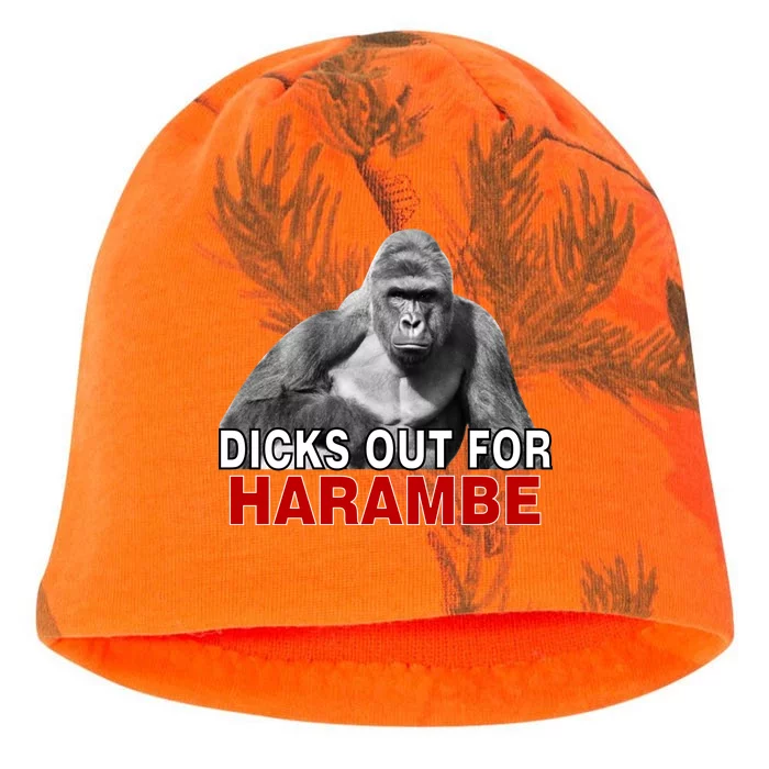 Dicks Out For Harambe Kati - Camo Knit Beanie