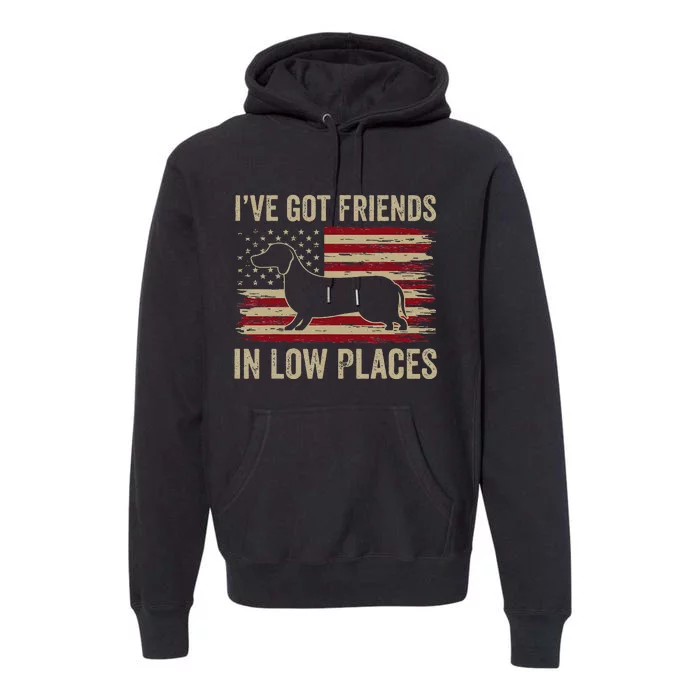 Dachshund Ive Got Friends In Low Places Wiener Dog Vintage Premium Hoodie