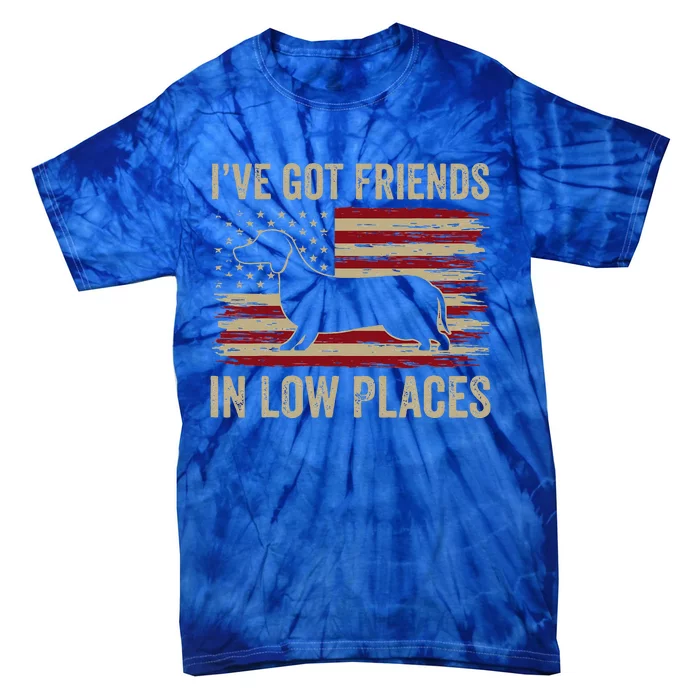 Dachshund I've Got Friends In Low Places Wiener Dog Vintage Tie-Dye T-Shirt