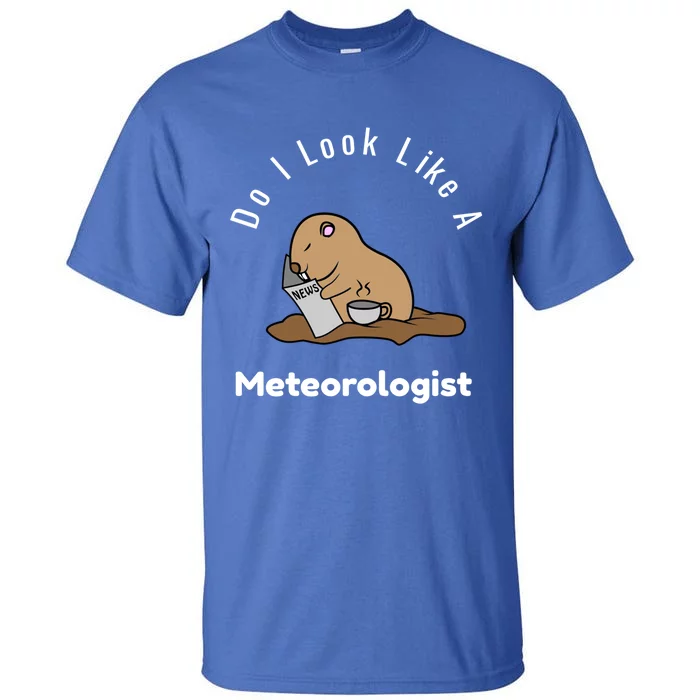 Do I Look Like A Ground Hogs Day Punxsutawney Phil Woodchuck Gift Tall T-Shirt