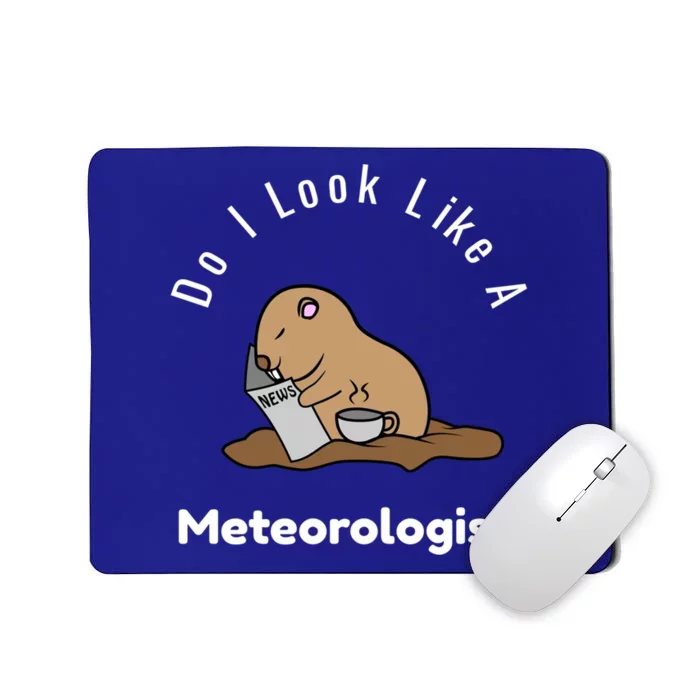 Do I Look Like A Ground Hogs Day Punxsutawney Phil Woodchuck Gift Mousepad