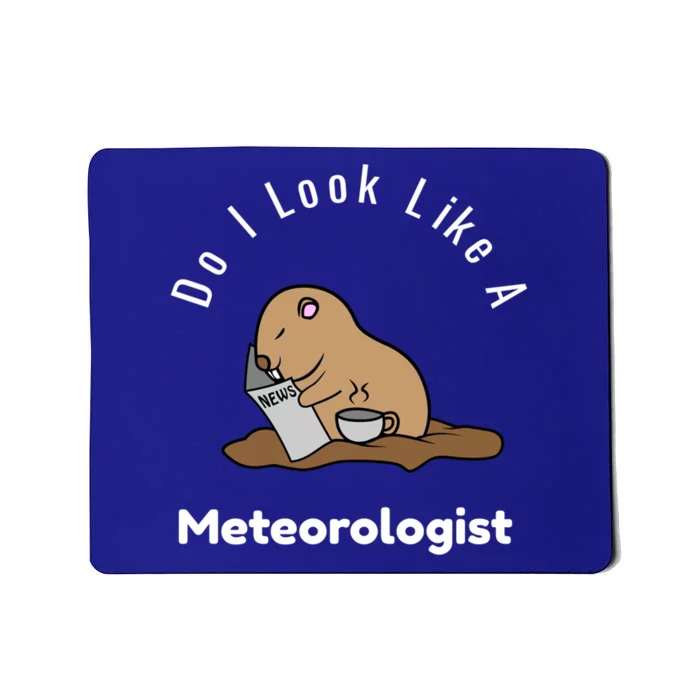 Do I Look Like A Ground Hogs Day Punxsutawney Phil Woodchuck Gift Mousepad