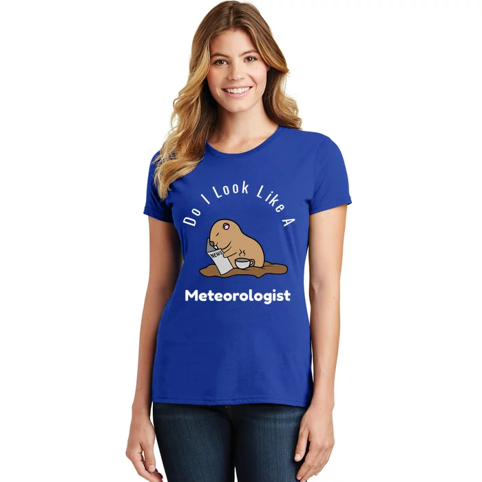 Do I Look Like A Ground Hogs Day Punxsutawney Phil Woodchuck Gift Women's T-Shirt