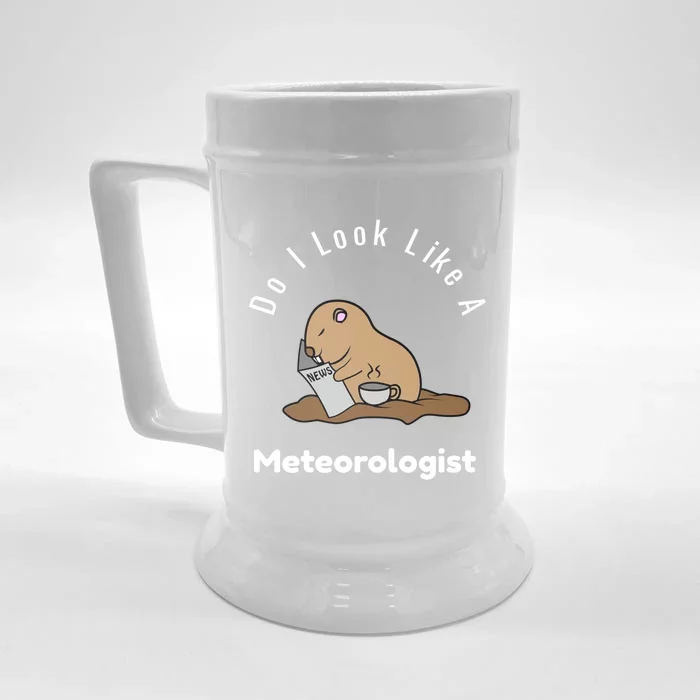 Do I Look Like A Ground Hogs Day Punxsutawney Phil Woodchuck Gift Front & Back Beer Stein