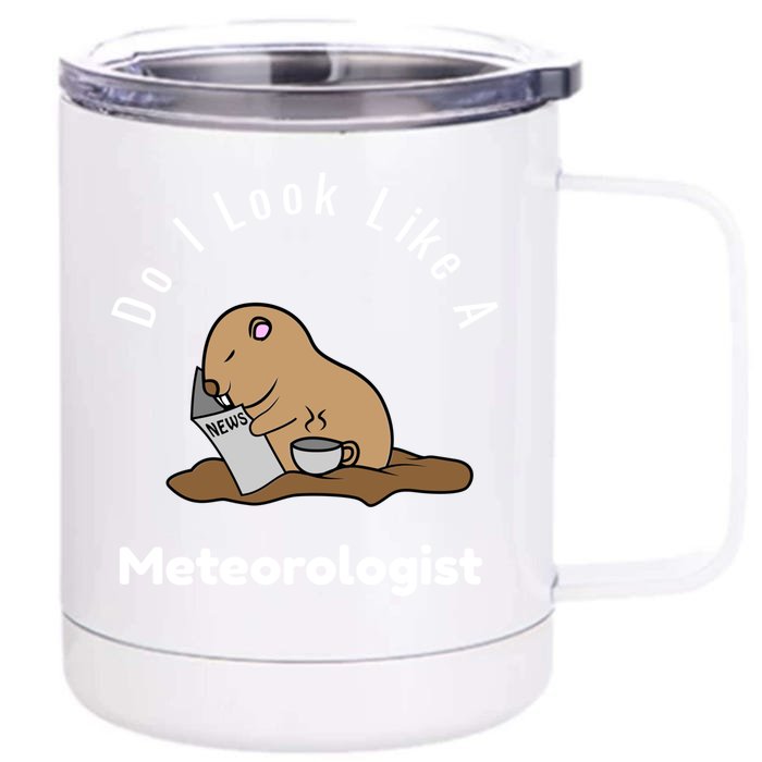 Do I Look Like A Ground Hogs Day Punxsutawney Phil Woodchuck Gift Front & Back 12oz Stainless Steel Tumbler Cup