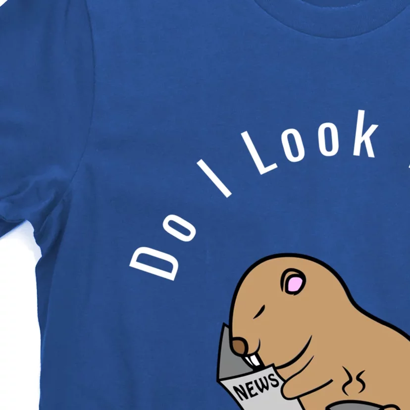 Do I Look Like A Ground Hogs Day Punxsutawney Phil Woodchuck Cool Gift T-Shirt