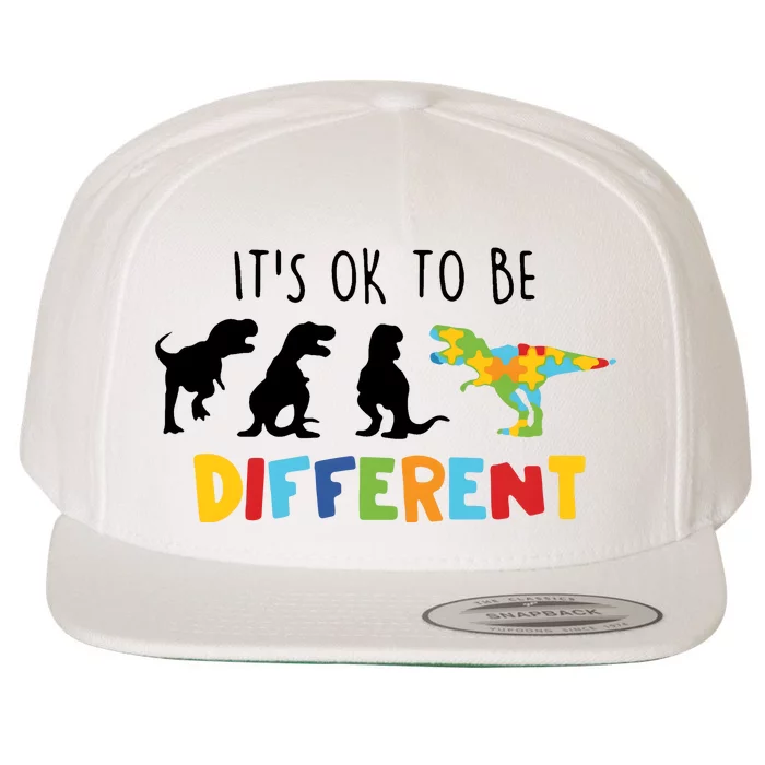 Dinasour ItS Ok To Be Different Autism Awareness Wool Snapback Cap