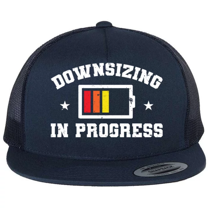 Downsizing In Progress Ketogenic Dieter Vegetarian Cute Gift Flat Bill Trucker Hat