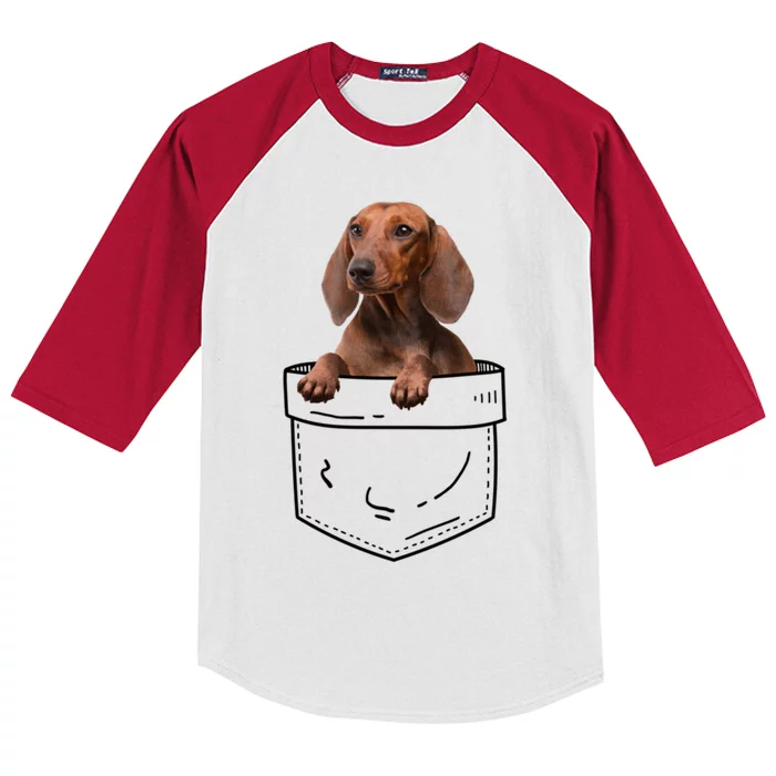 Dachshund In Pocket Cool Gift Doxie Dog Lover Meaningful Gift Kids Colorblock Raglan Jersey