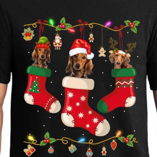 Dachshund In Socks Christmas Stocking Lights Gift Xmas Pajama Set