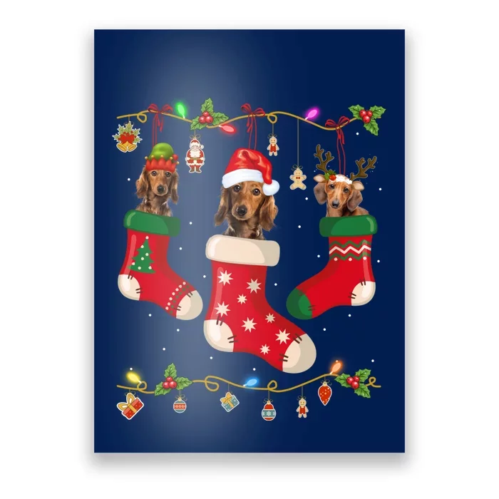 Dachshund In Socks Christmas Stocking Lights Gift Xmas Poster