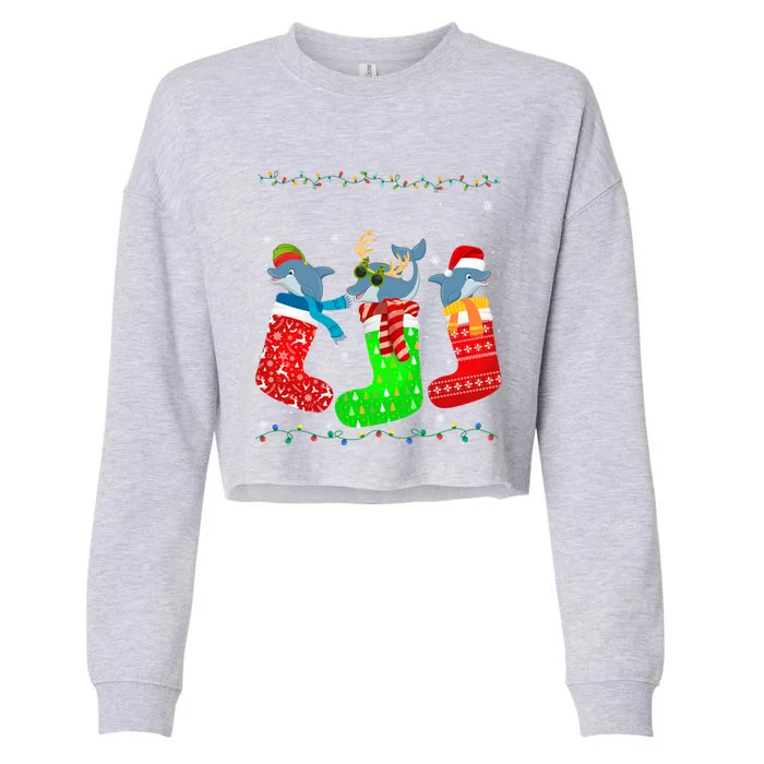 Dolphin In Xmas Socks Funny Holiday Ugly Sweater Christmas Meaningful Gift Cropped Pullover Crew