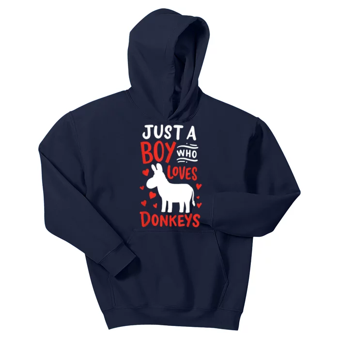 Donkey Just A Boy Who Loves Donkeys Gift Kids Hoodie