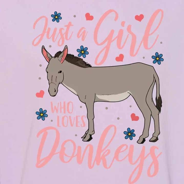 Donkey Just A Who Loves Donkeys Funny Donkey Lover Gift Garment-Dyed Sweatshirt