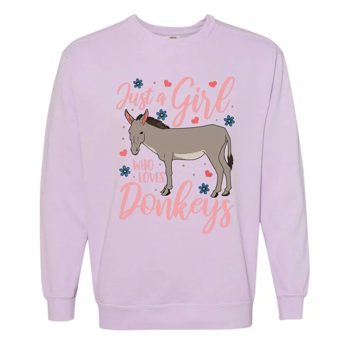 Donkey Just A Who Loves Donkeys Funny Donkey Lover Gift Garment-Dyed Sweatshirt