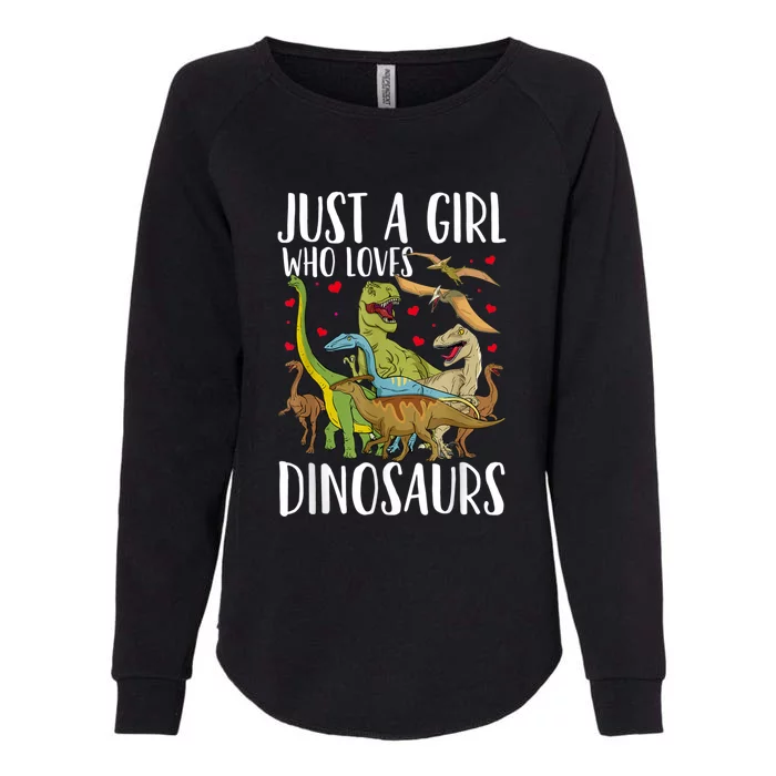 Dinosaur Just A Girl Who Loves Dinosaurs Brachiosaurus Womens California Wash Sweatshirt