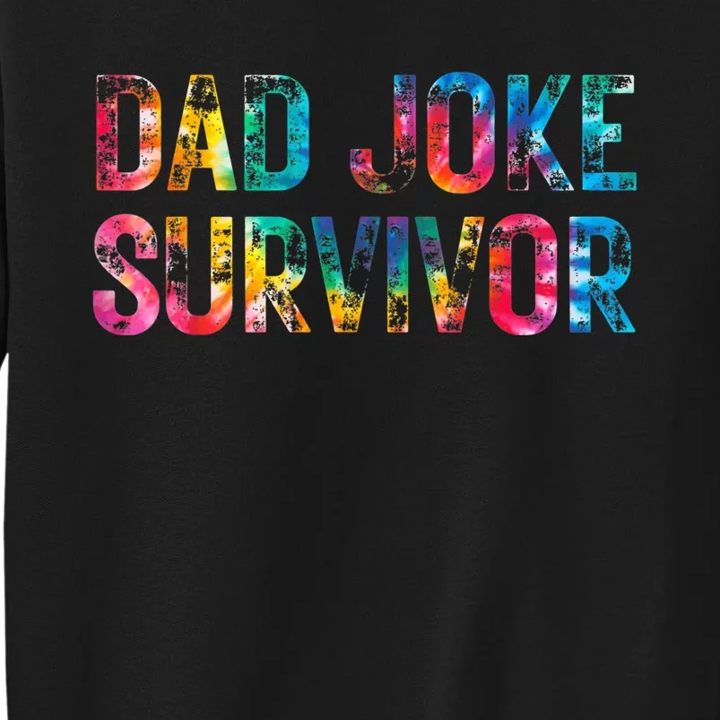 Dad Joke Survivor Tie Dye Matching Father Son Dad Humor Sweatshirt