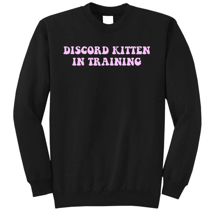 Discord Kitten In Training Apparel Sweatshirt